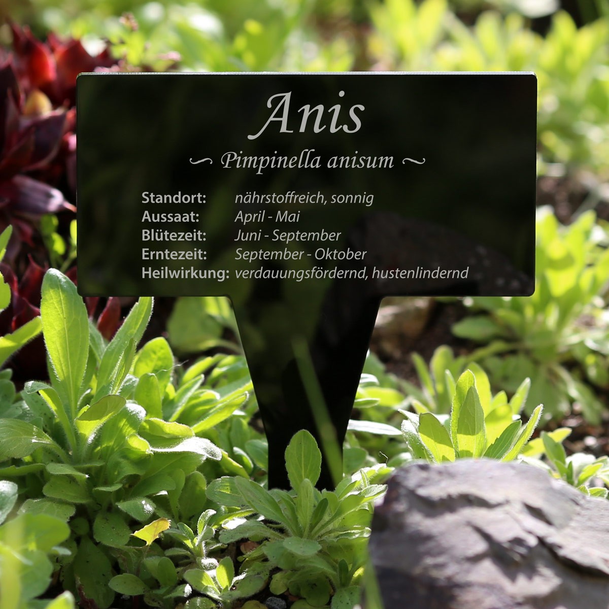 PLEXIGLAS® herb plant sign, rectangular, black