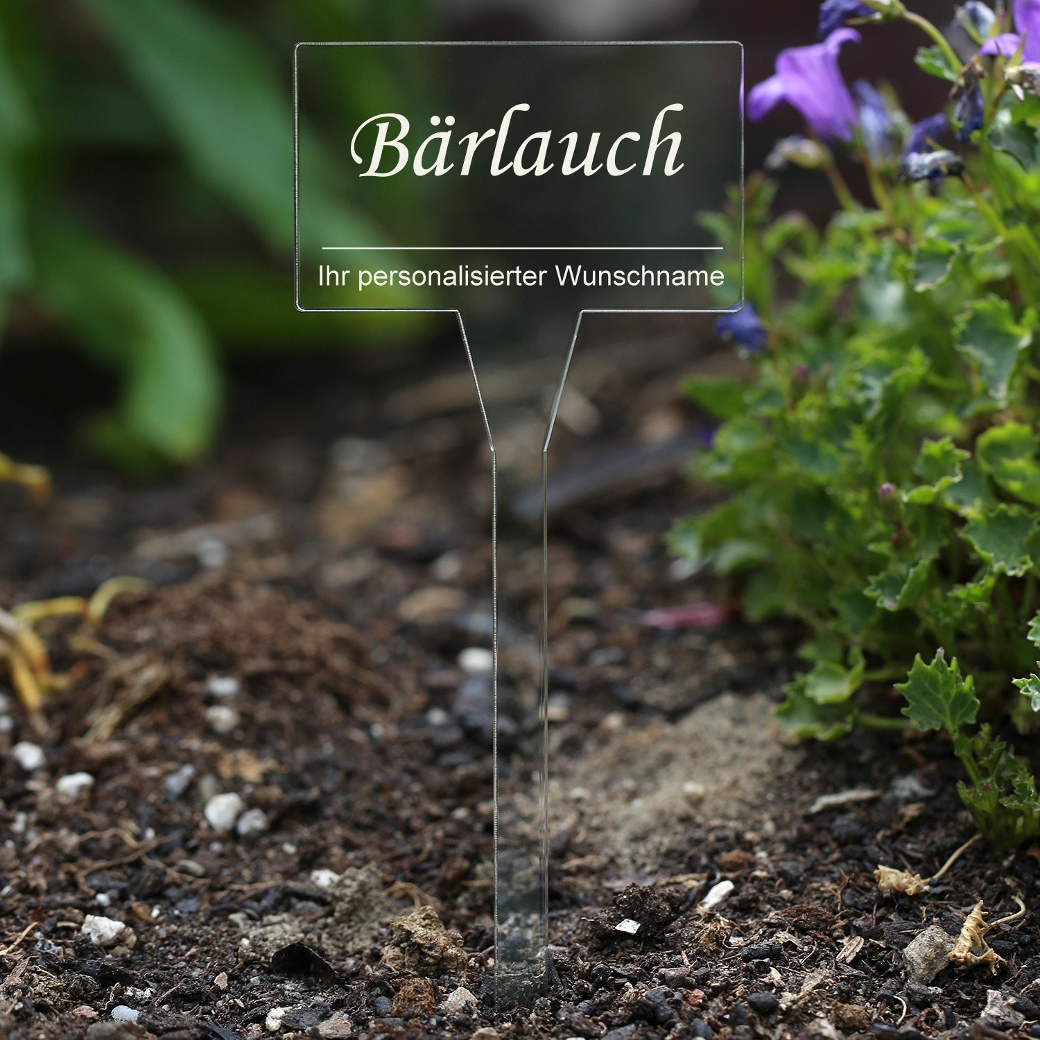PLEXIGLAS® letreros para plantas personalizados rectangulares incoloros