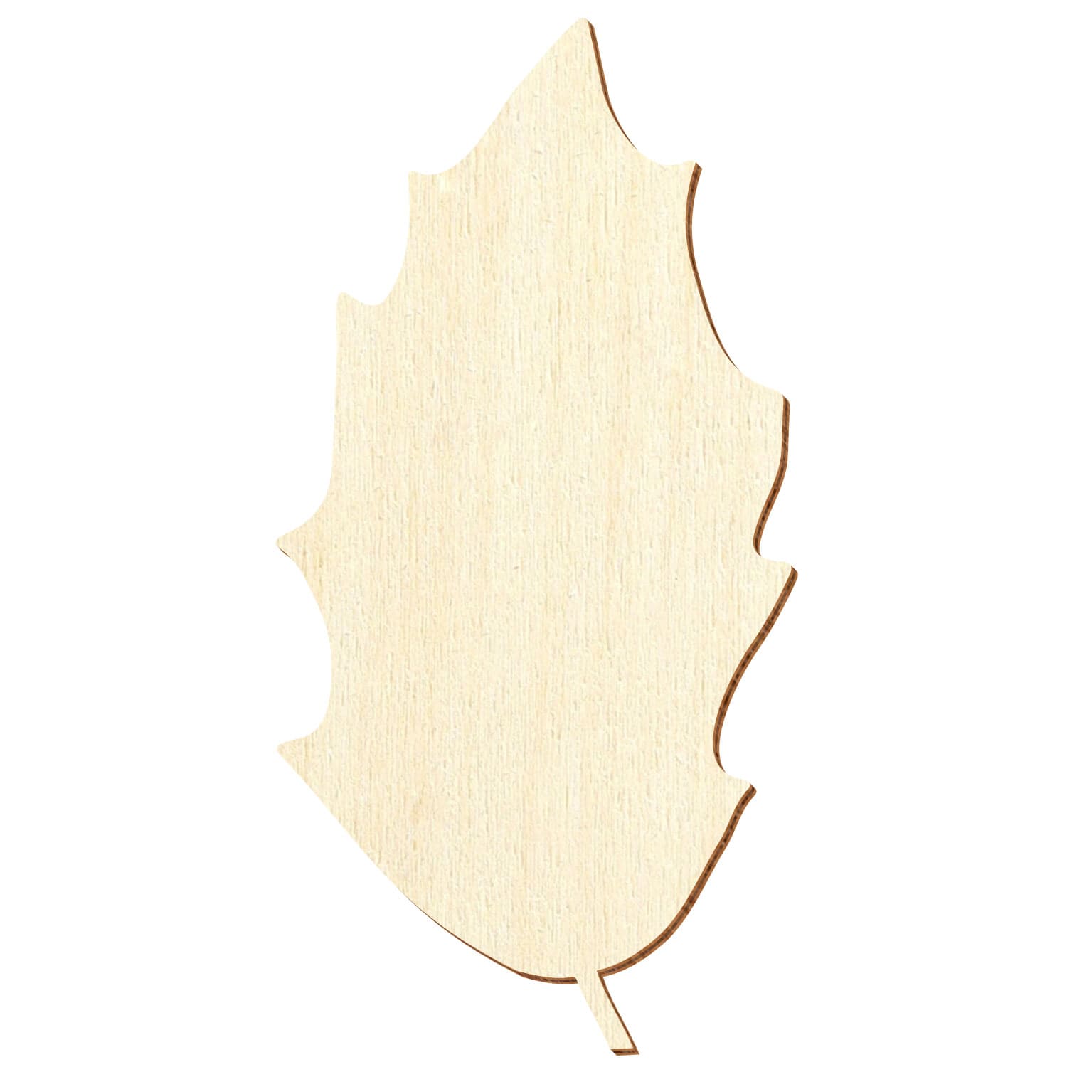 Stechpalmenblatt V1 Holz Zuschnitt 5-50cm