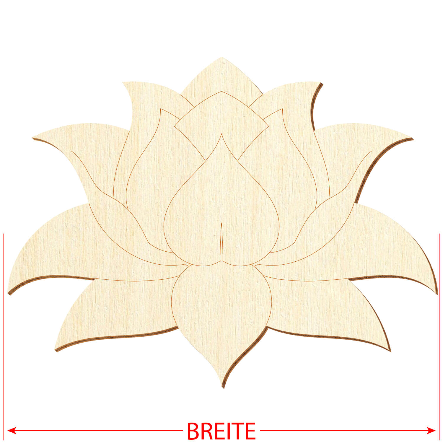 Lotus Blüte Breite