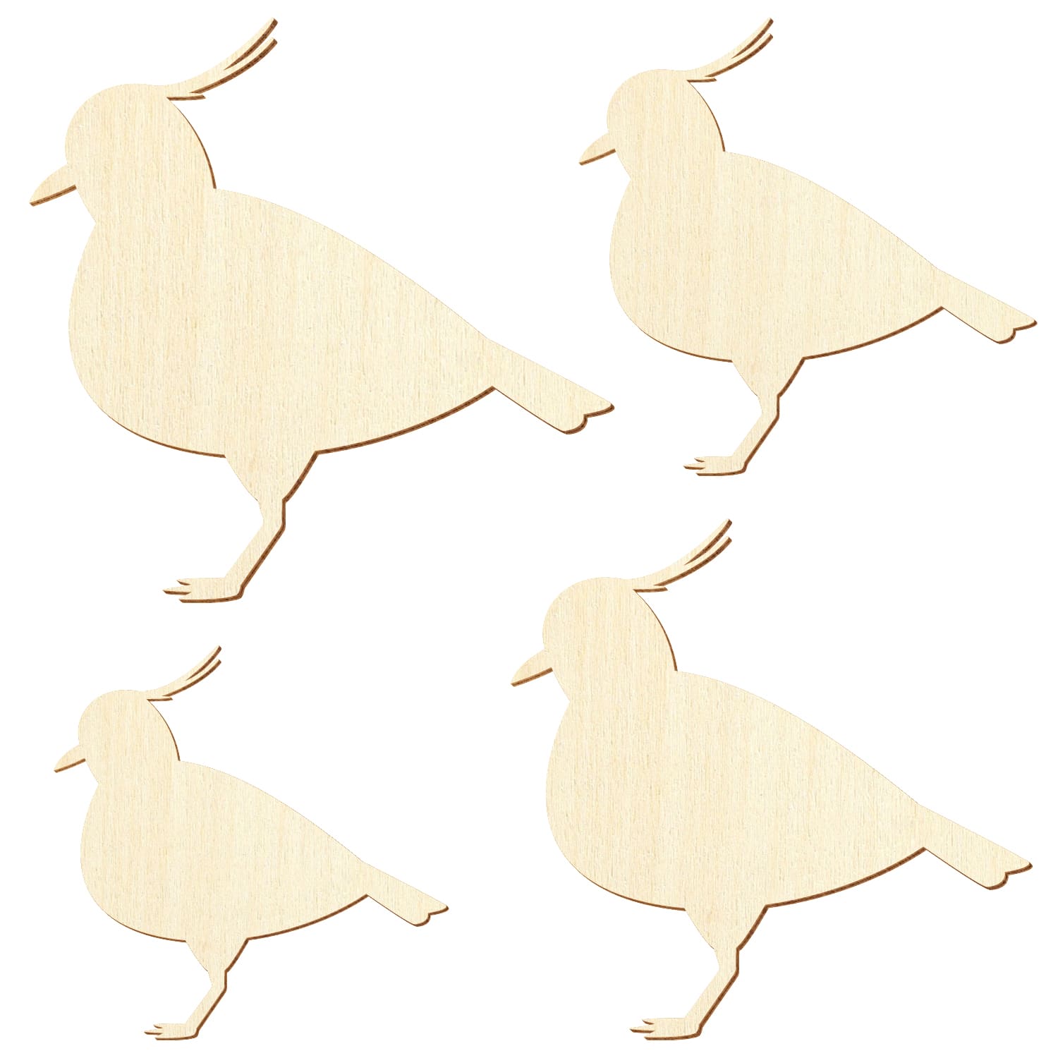 Holz Kiebitz Vogel - Deko Basteln 5-50cm Gruppe