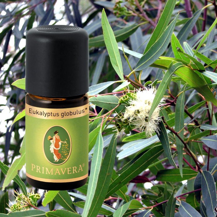 Primavera Bio Duftöl Eukalyptus