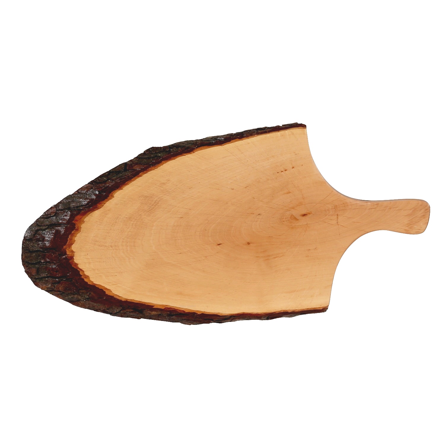 Griff-Rindenbrett Esche Erle lackiert oval B-Ware