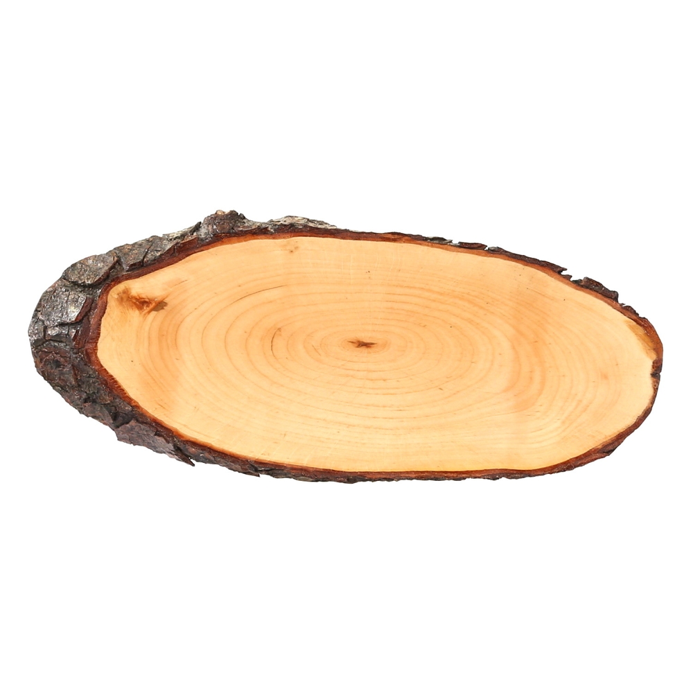 Rindenbrett Esche Erle oval lackiert B-Ware