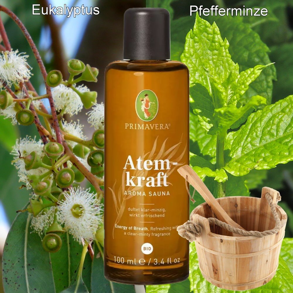 Primavera Aufgusskonzentrat Saunaduft 100ml
