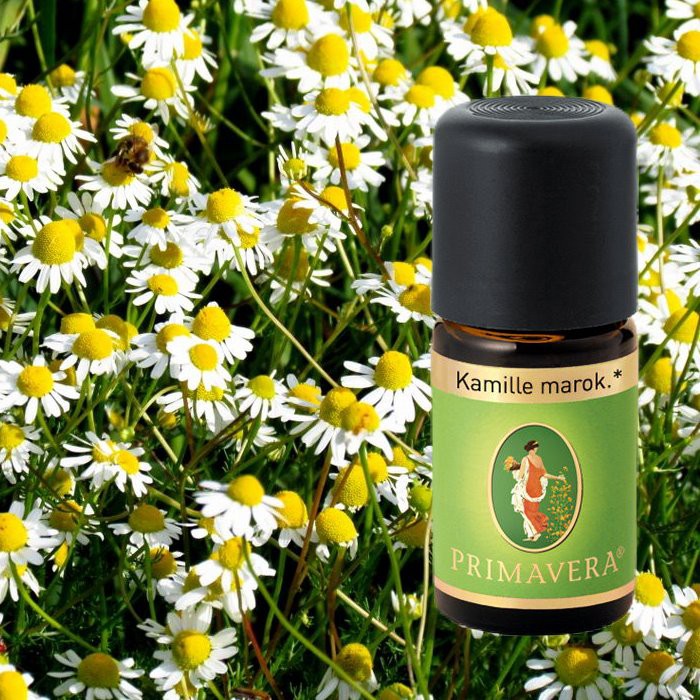 Primavera Bio Duftöl marok. Kamille