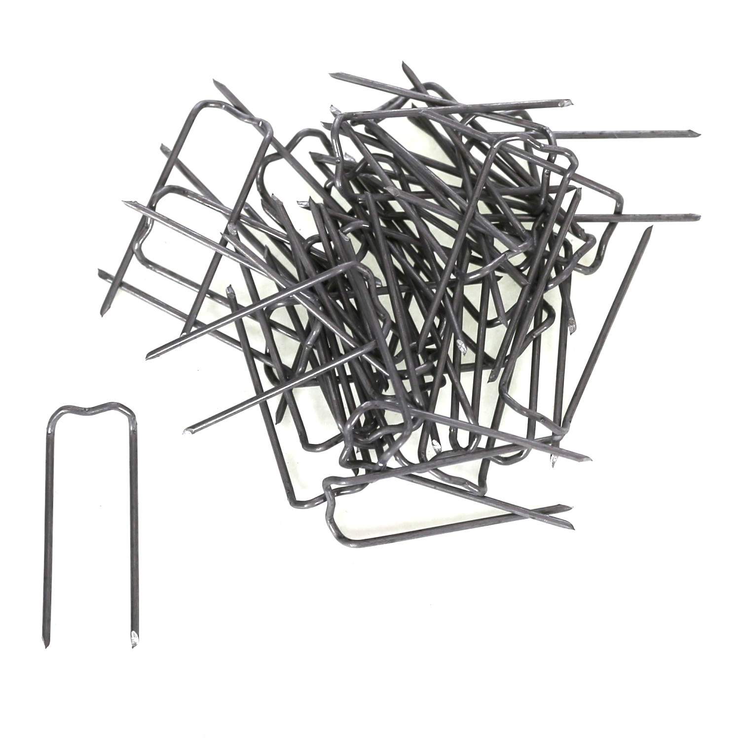 Patenthaften
