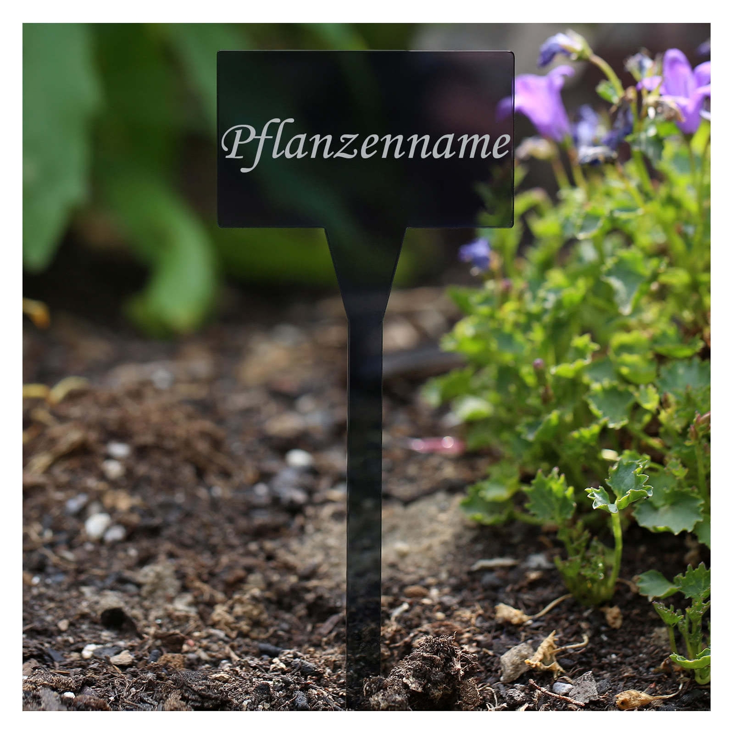 PLEXIGLAS® Pflanzschilder Eckig grau transparent