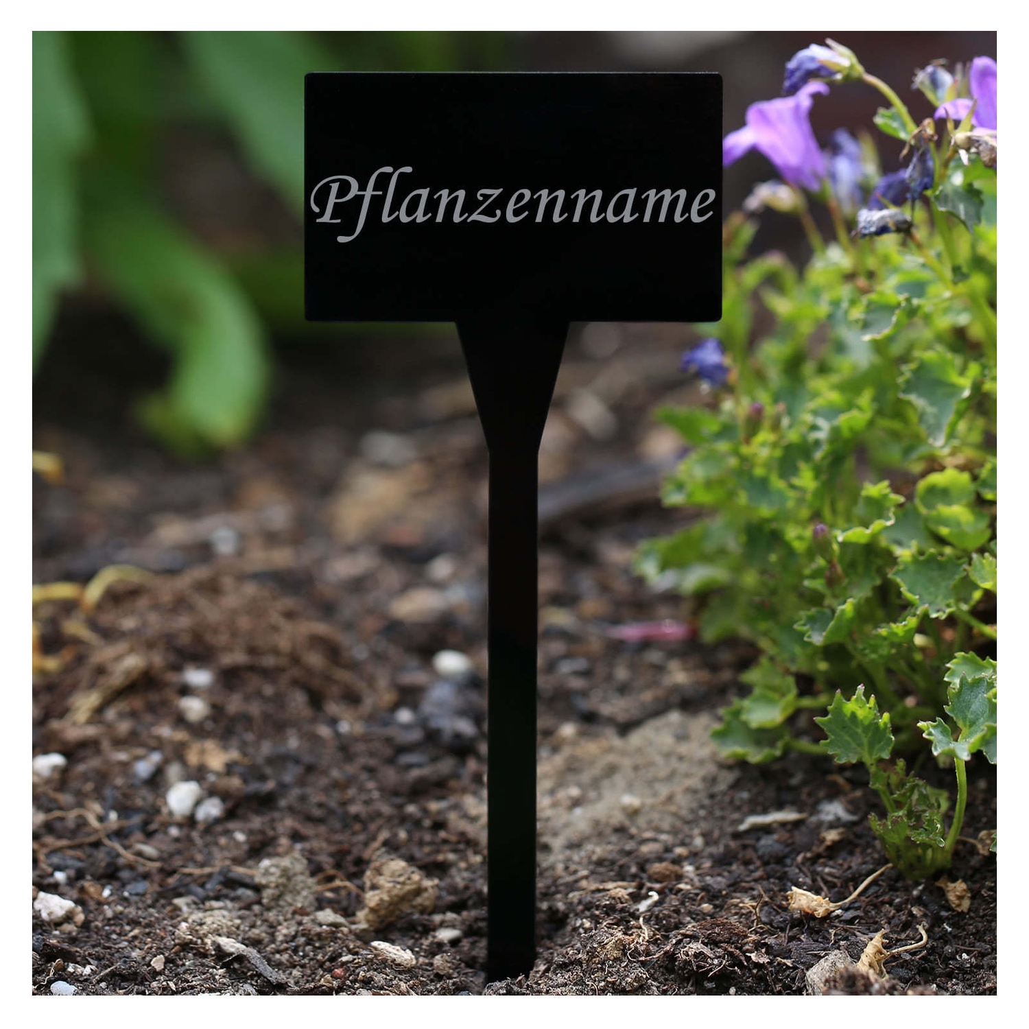 PLEXIGLAS® Pflanzschilder Eckig schwarz