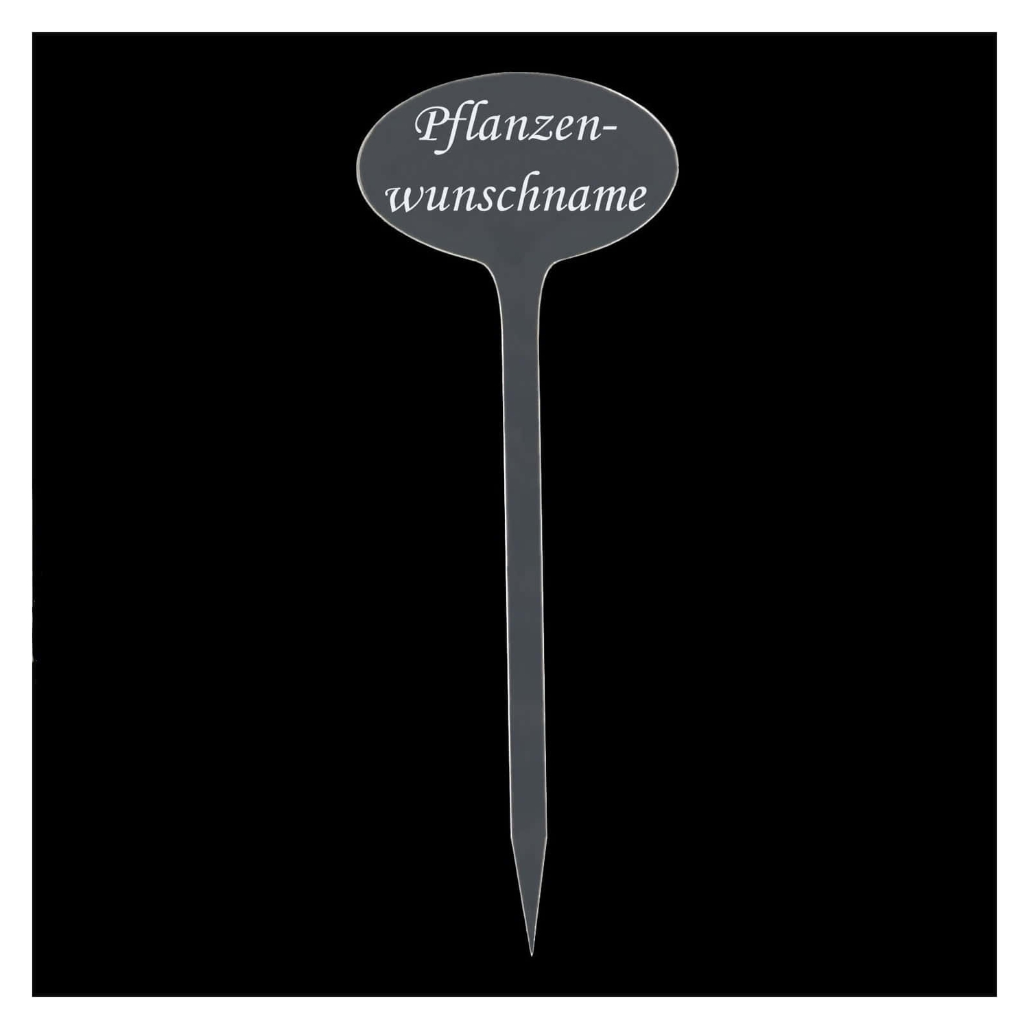 PLEXIGLAS® Pflanzschilder Oval farblos transparent