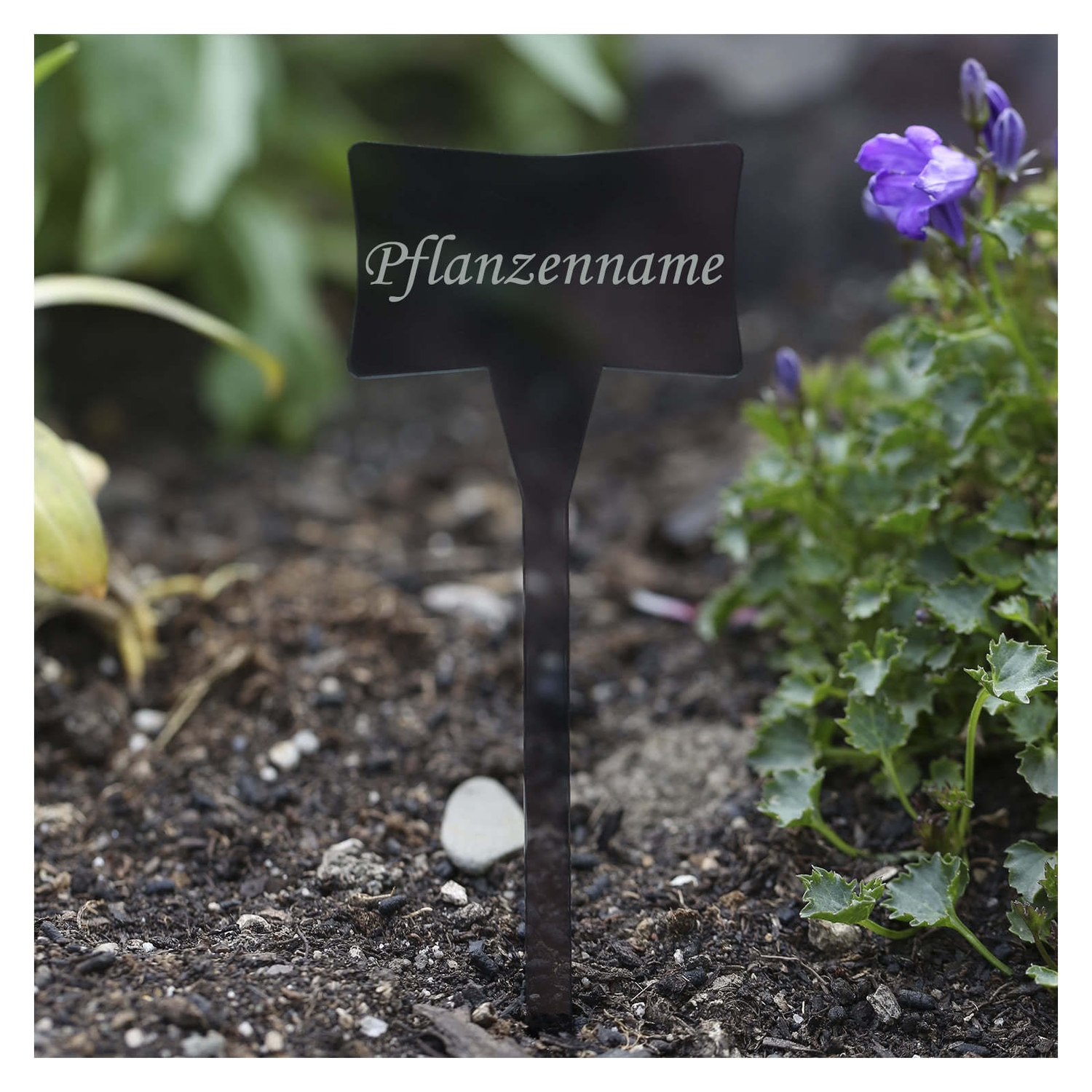 PLEXIGLAS® Pflanzschilder Slave grau transparent