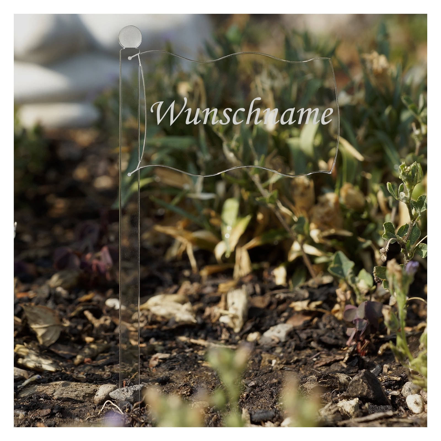 PLEXIGLAS® Pflanzschilder Fahne farblos
