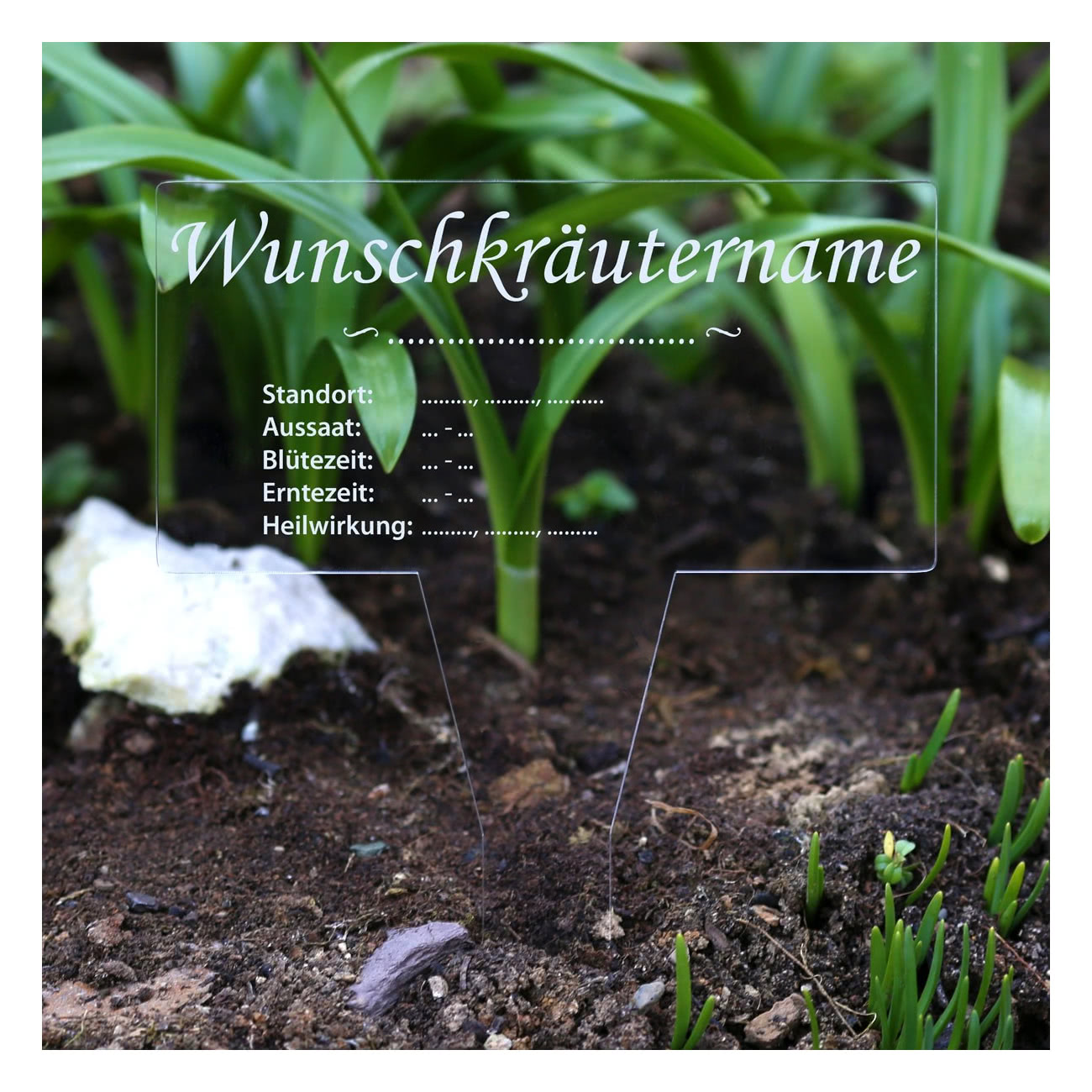 PLEXIGLAS® Kräuter Pflanztafel Eckig farblos