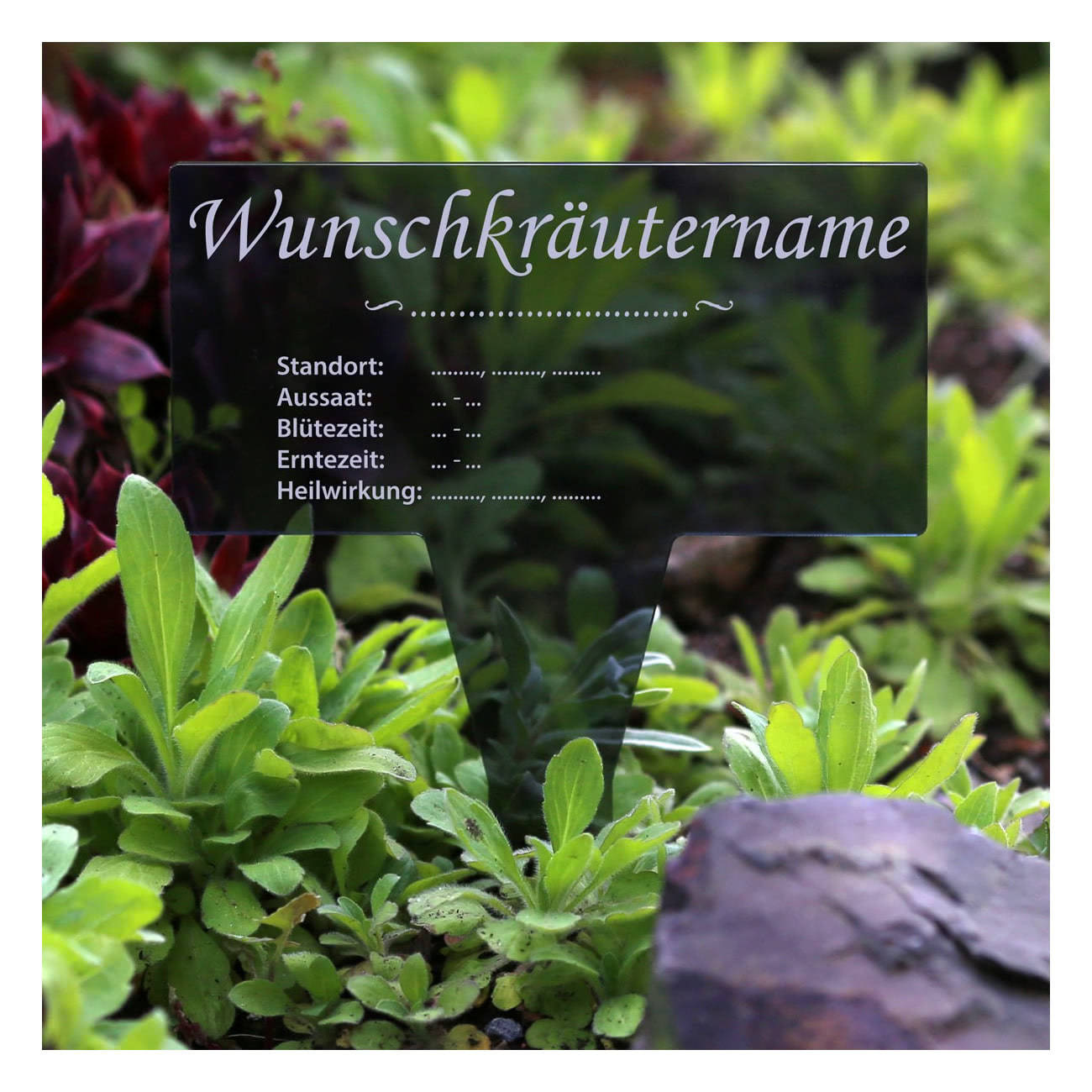 PLEXIGLAS® Kräuter Pflanztafel Eckig grau transparent