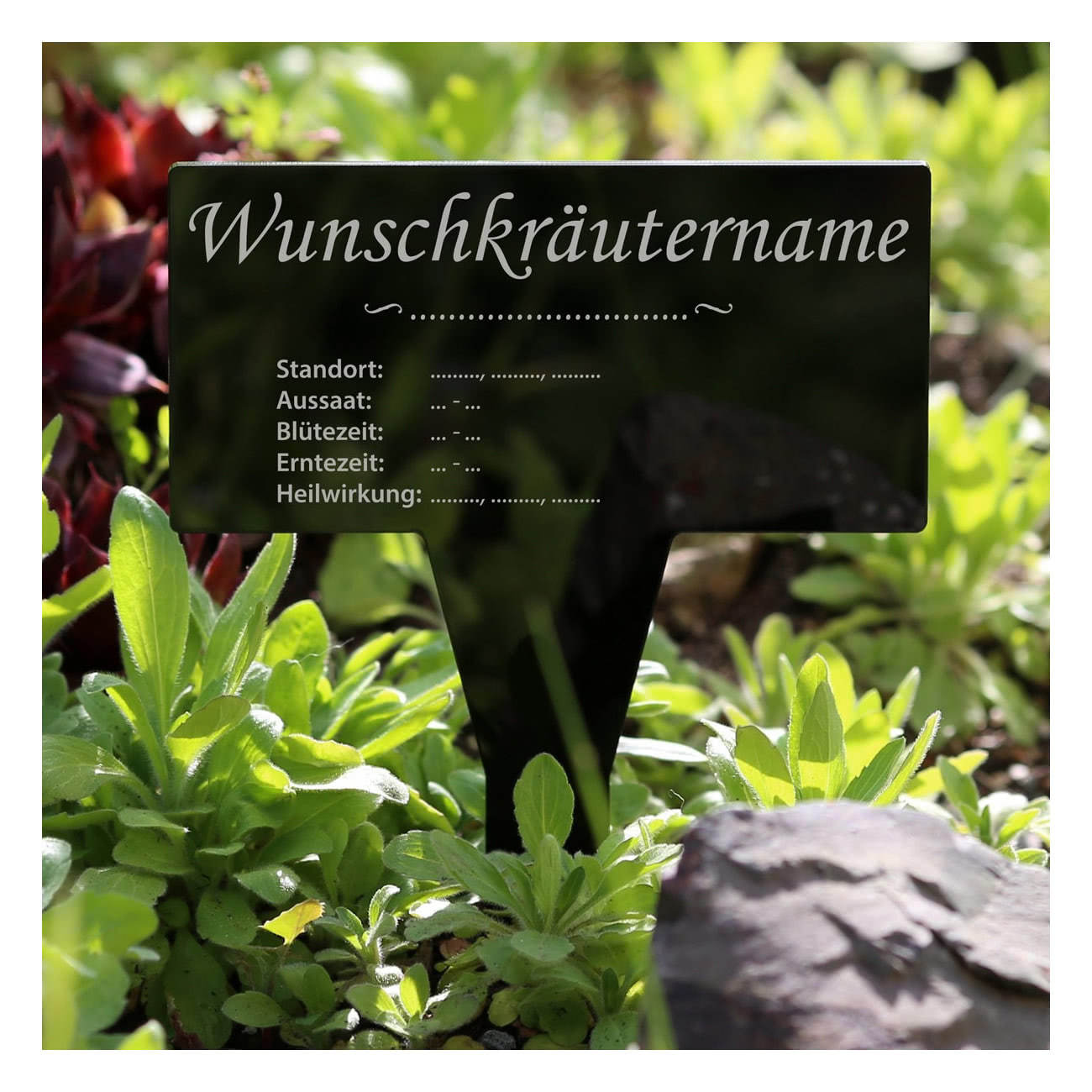 PLEXIGLAS® Kräuter Pflanztafel Eckig schwarz