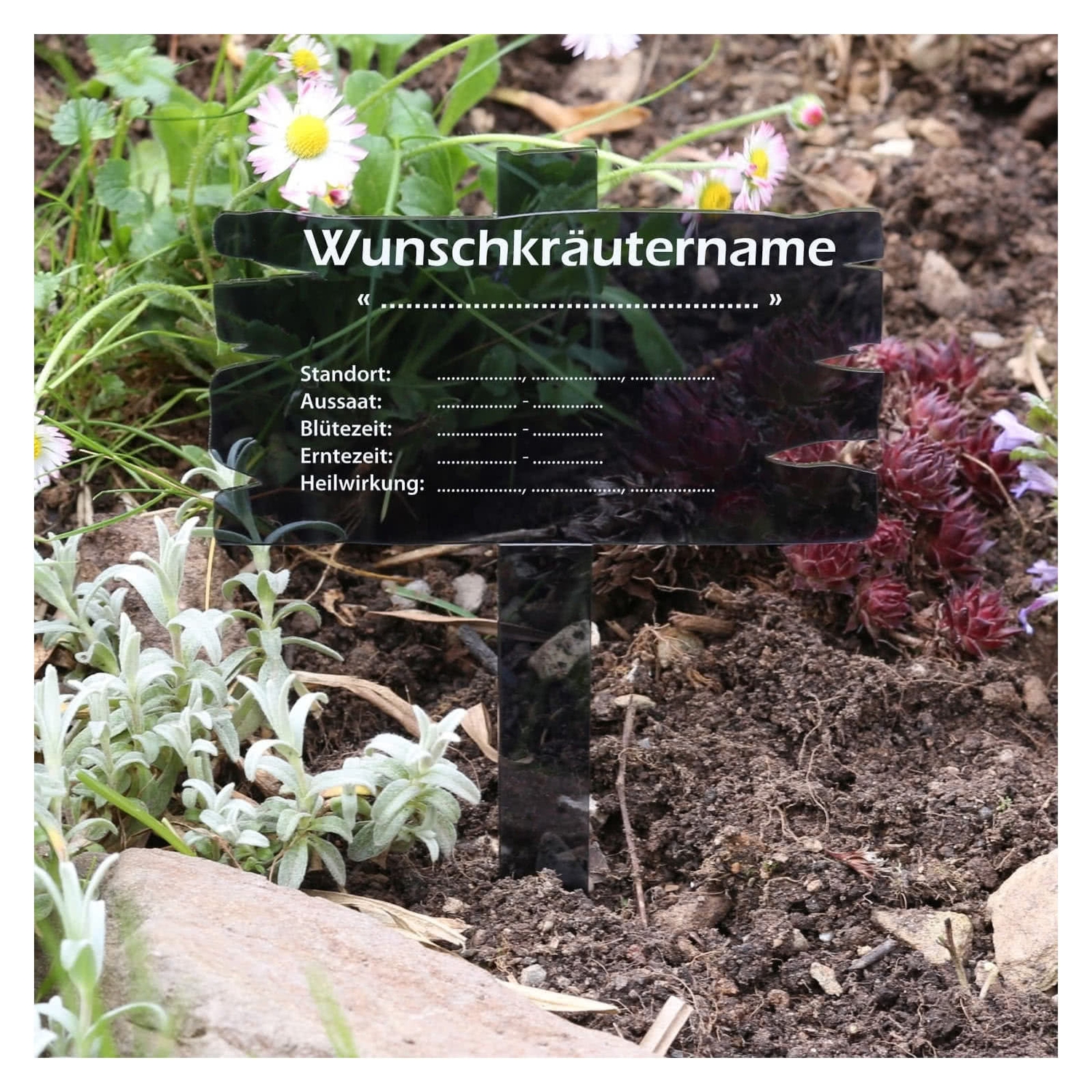 PLEXIGLAS® Kräuter Pflanztafel Holzbrettoptik Grau transparent