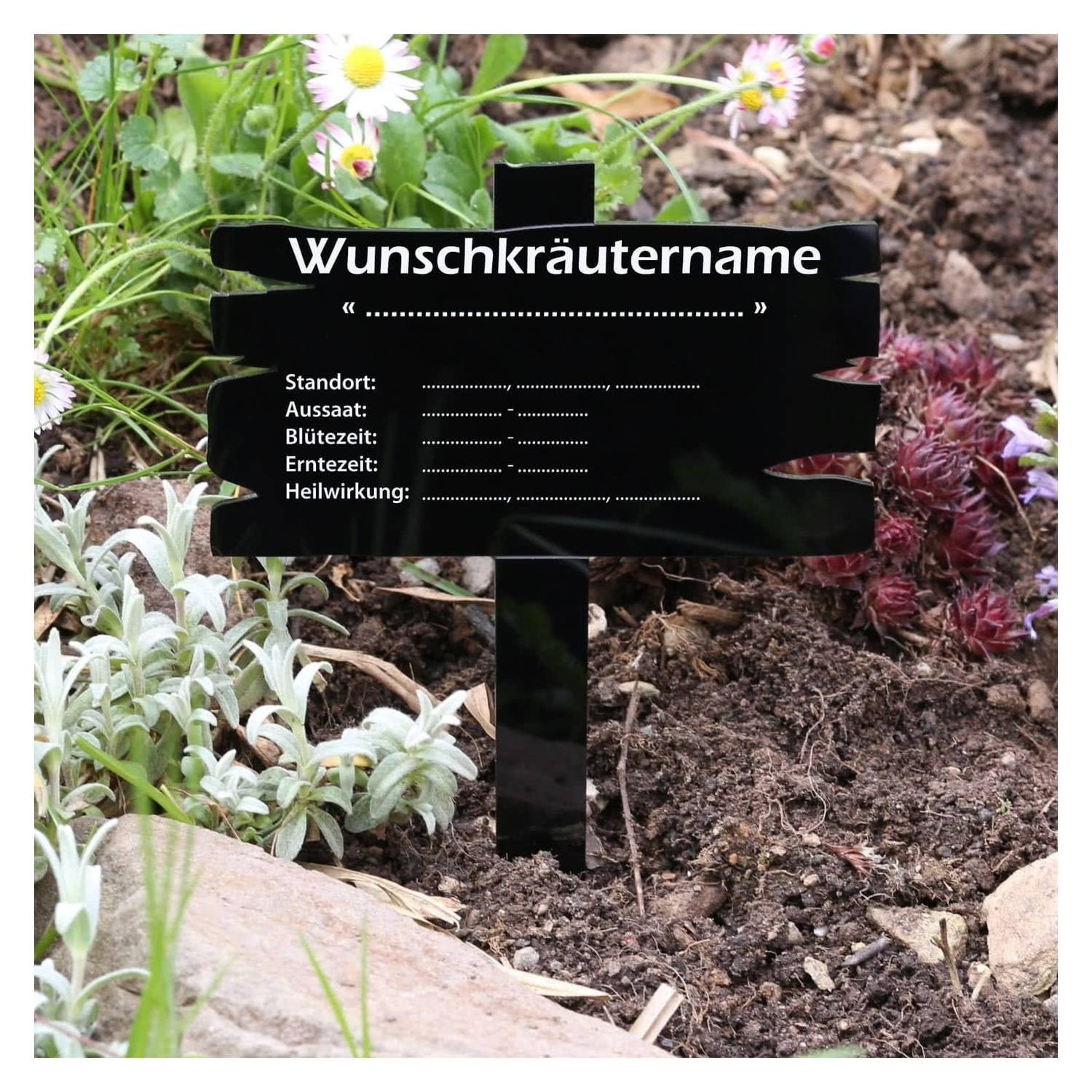 PLEXIGLAS® Kräuter Pflanztafel Holzbrettoptik schwarz
