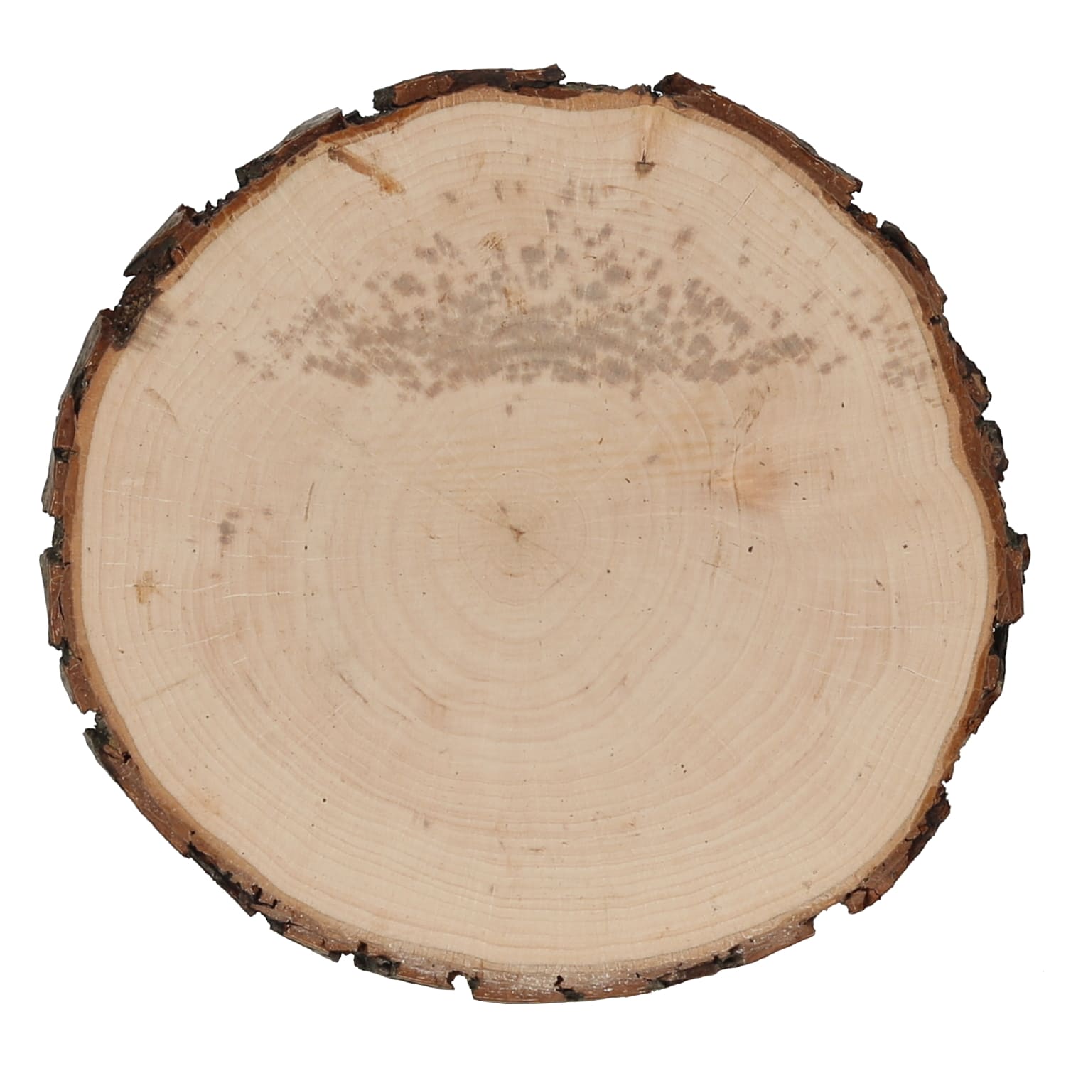 Holzscheibe Esche mit Flecken
