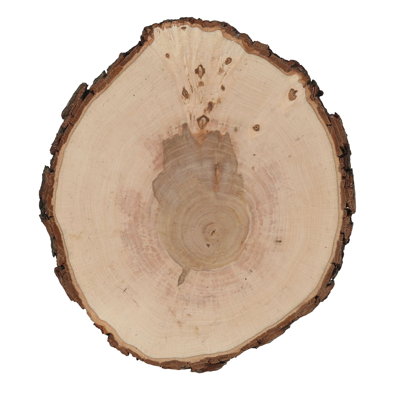 Holzscheibe Esche mit Flecken und Asteinschlüssen