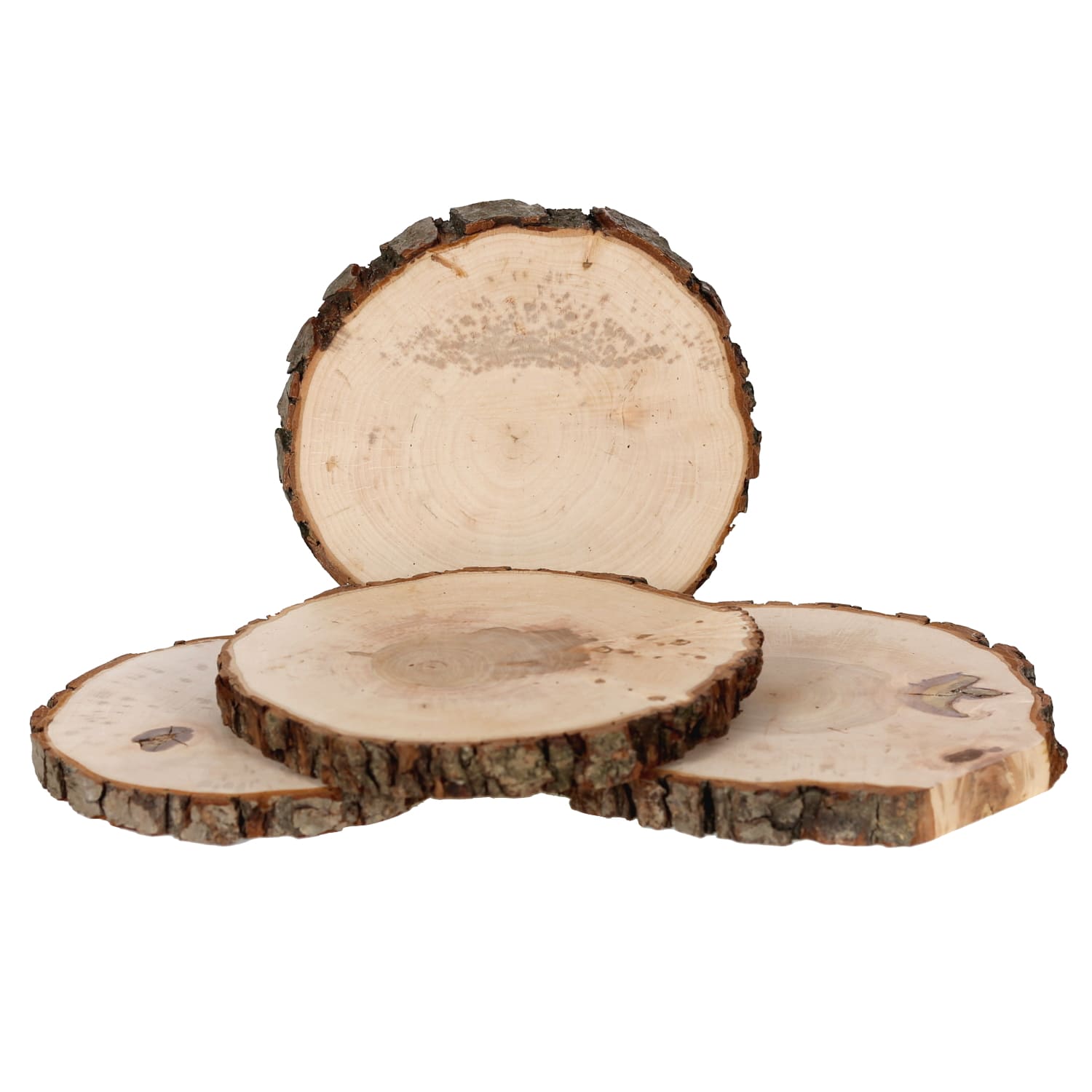 Gruppenbild Holzscheiben Esche mit Flecken