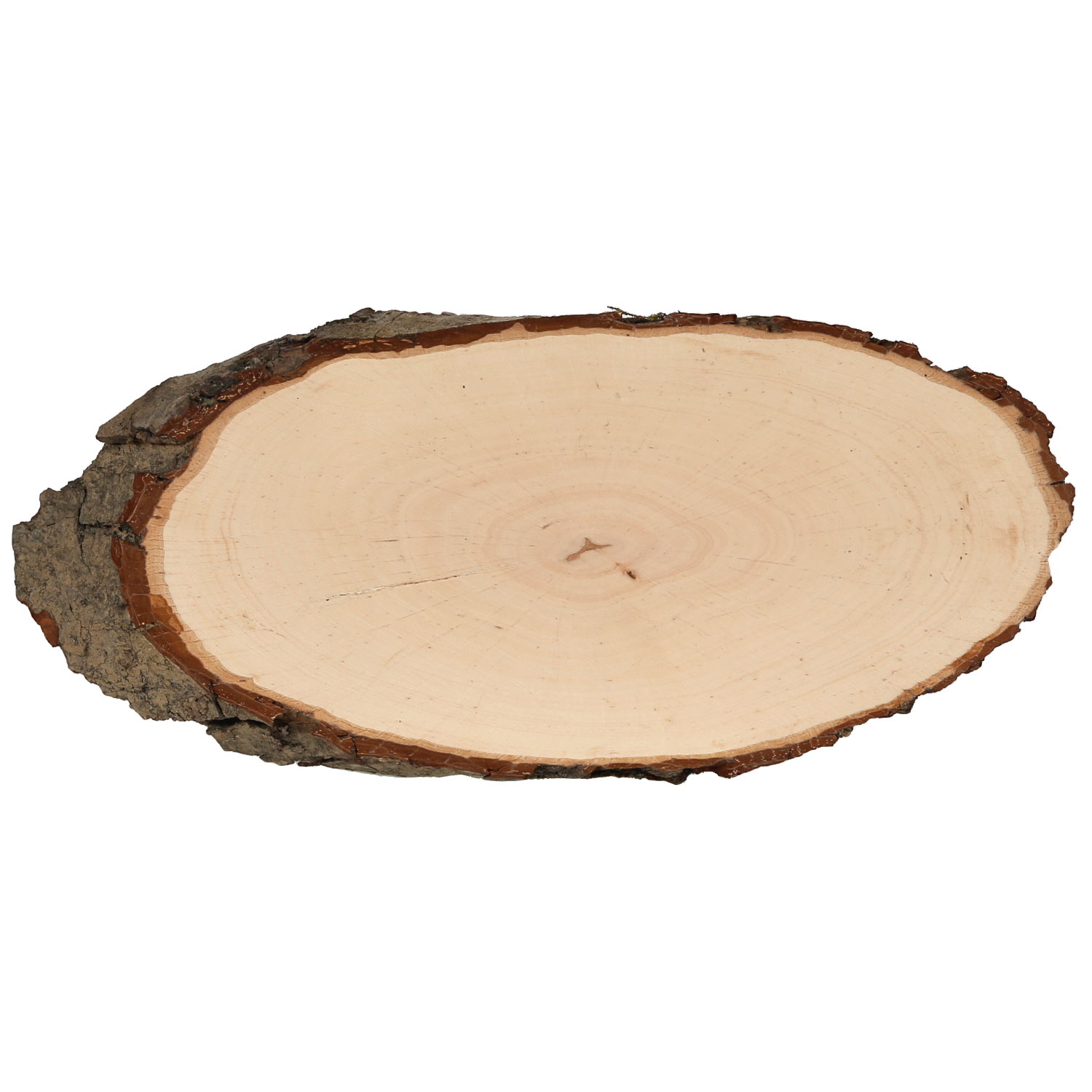 Rindenbrett Esche Erle oval B-Ware