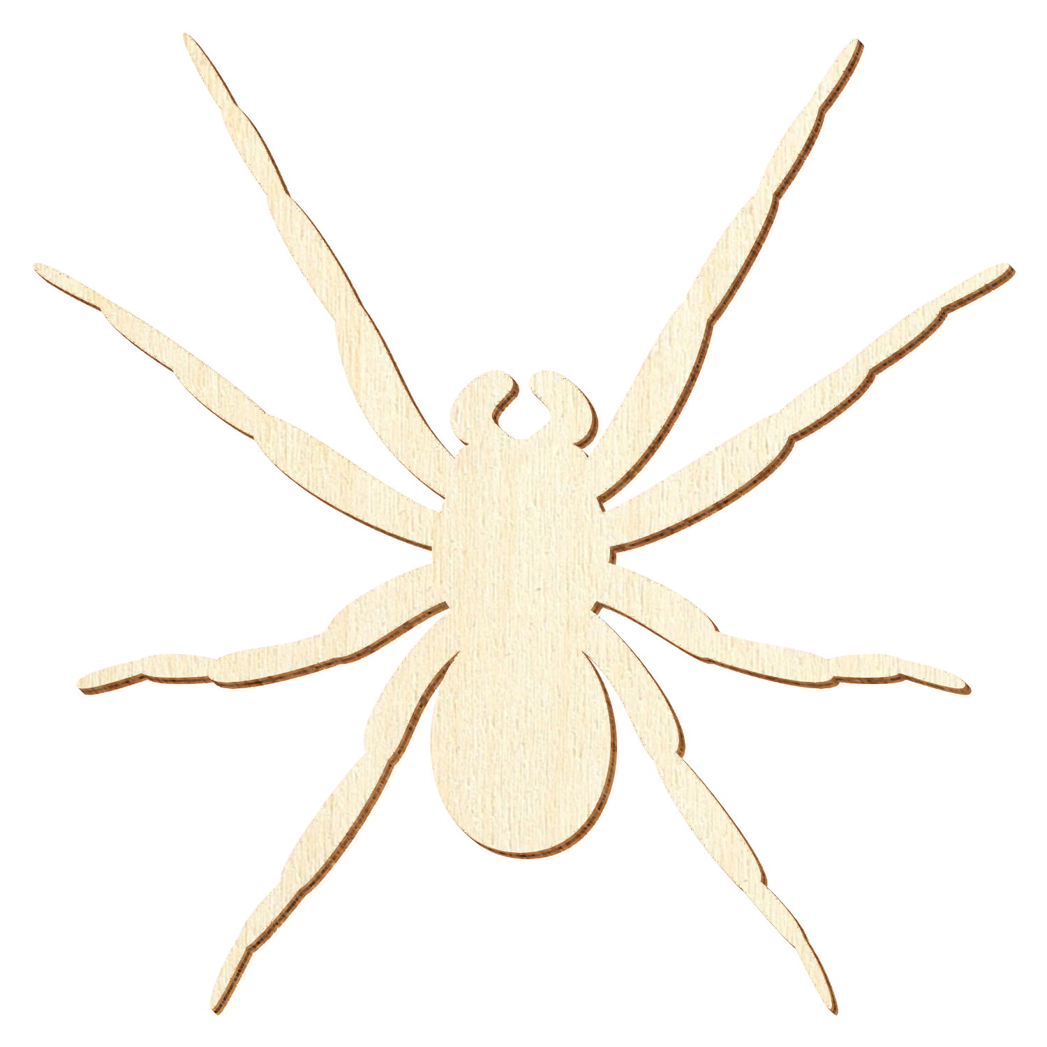 Spinne Holz Zuschnitt 5-50cm Höhe