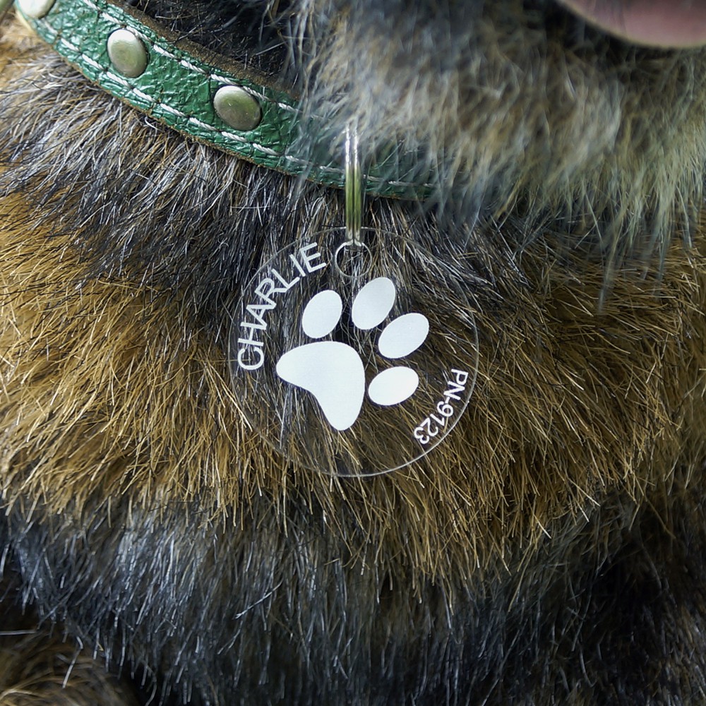 Acrylglas Hundemarke Rund big