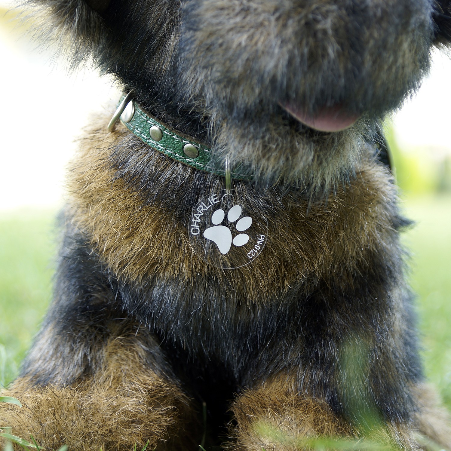 Acrylglas Hundemarke Rund