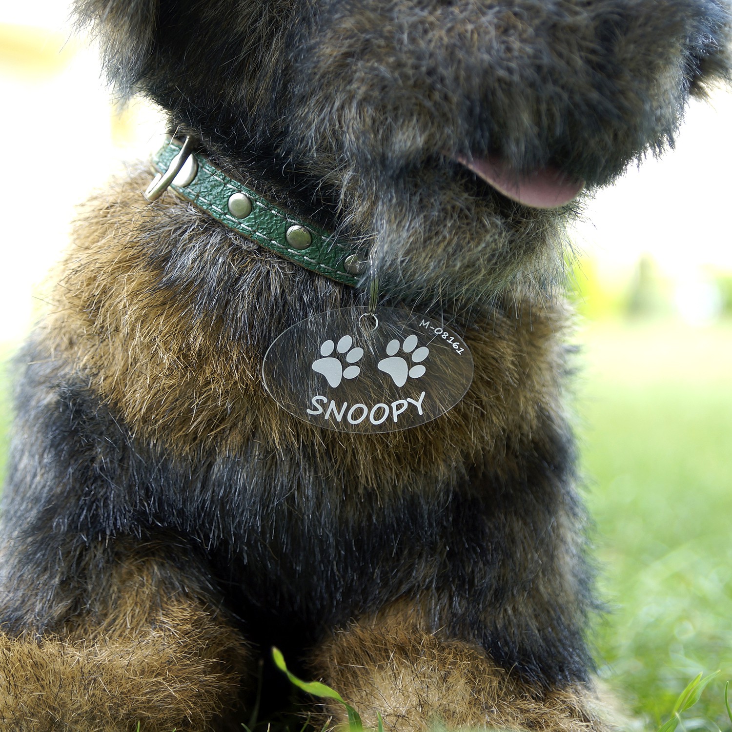 Acrylglas Hundemarke Oval