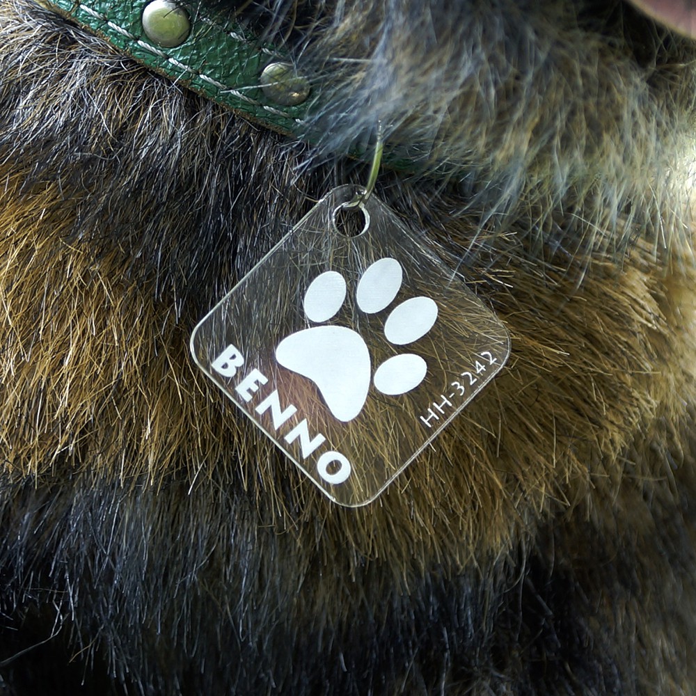 Acrylglas Hundemarke Quadrat big