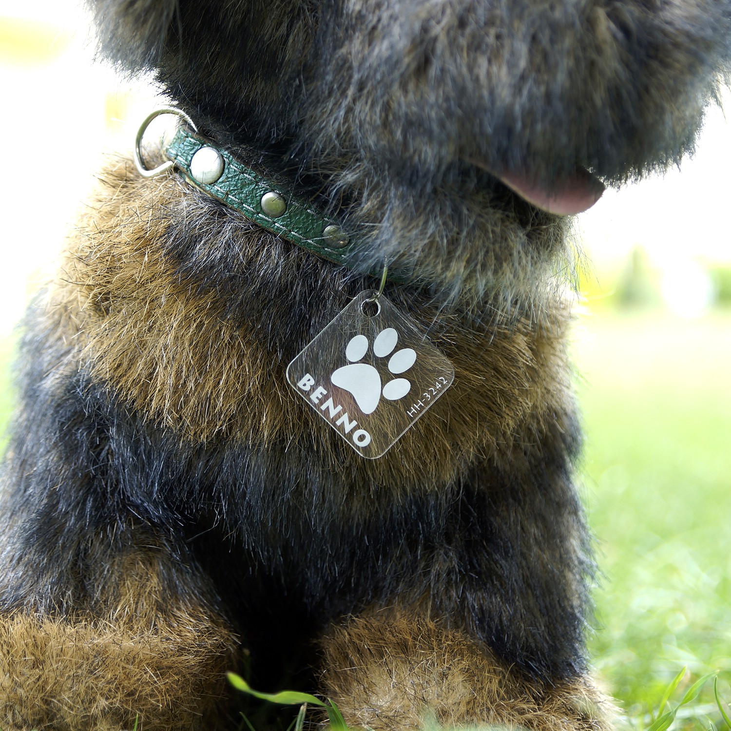 Acrylglas Hundemarke Quadrat
