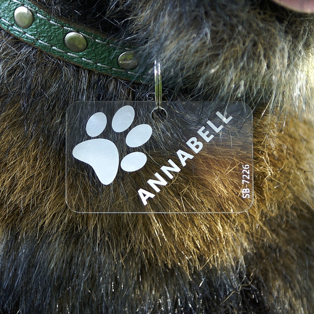 Acrylglas Hundemarke Rechteck big
