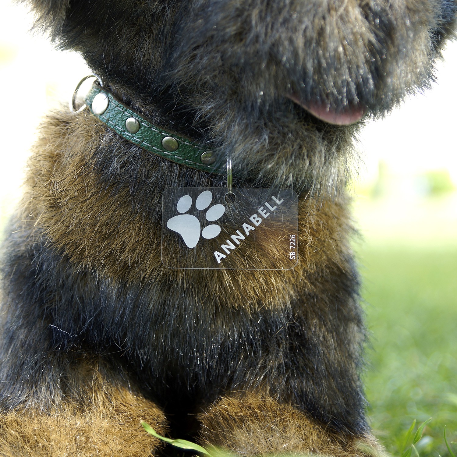 Acrylglas Hundemarke Rechteck