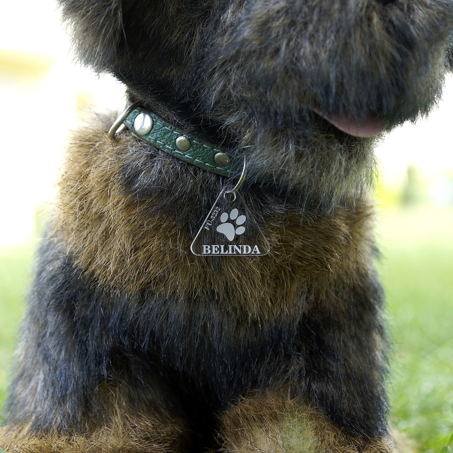 Acrylglas Hundemarke Dreieck