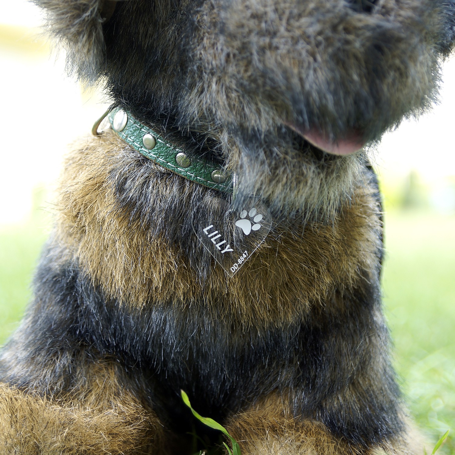 Acrylglas Hundemarke Herz