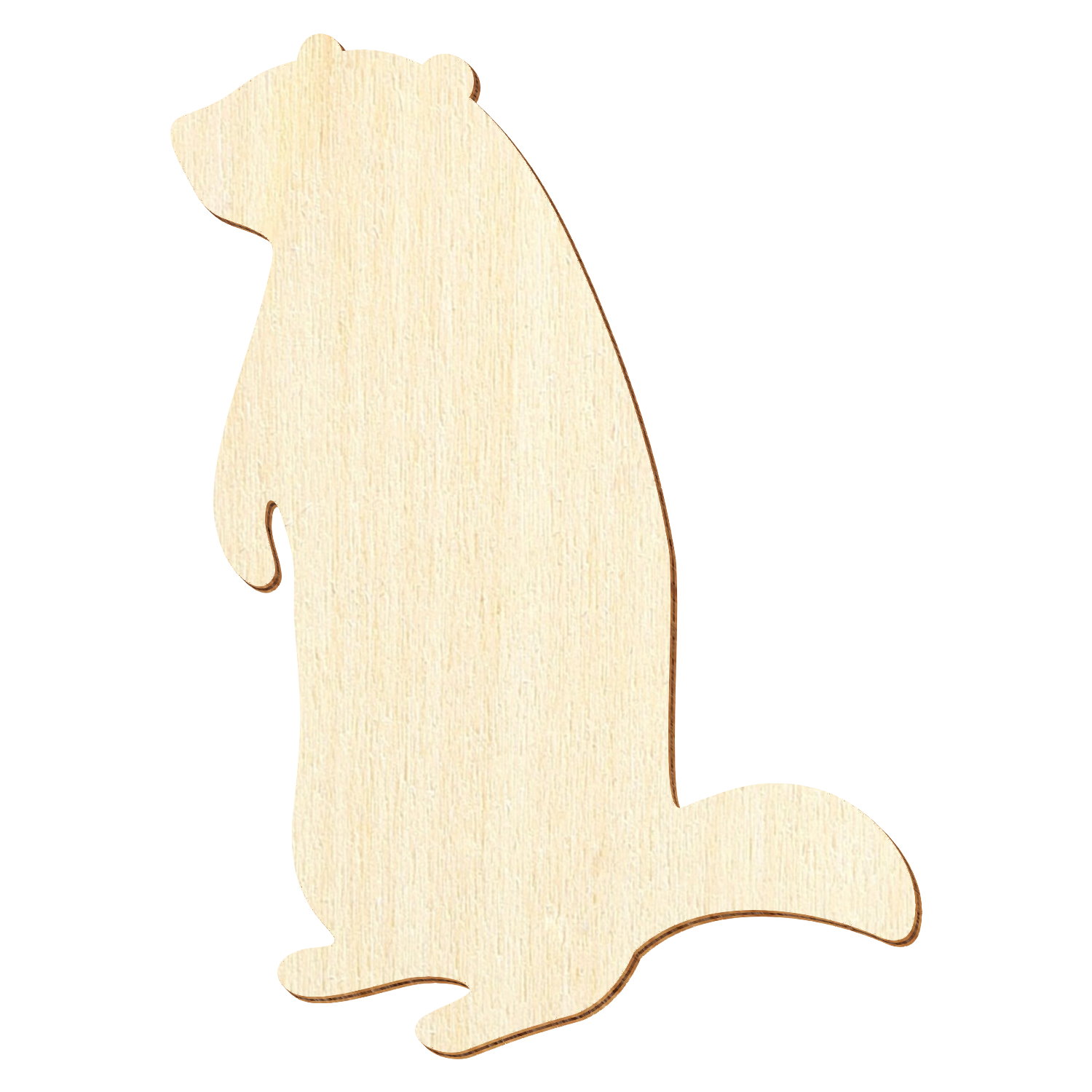Murmeltier Holz Zuschnitt 3-50cm