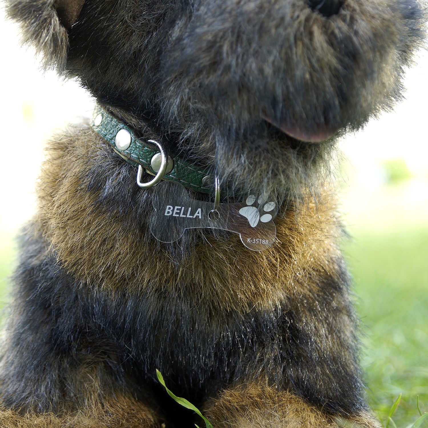 Acrylglas Hundemarke Knochen