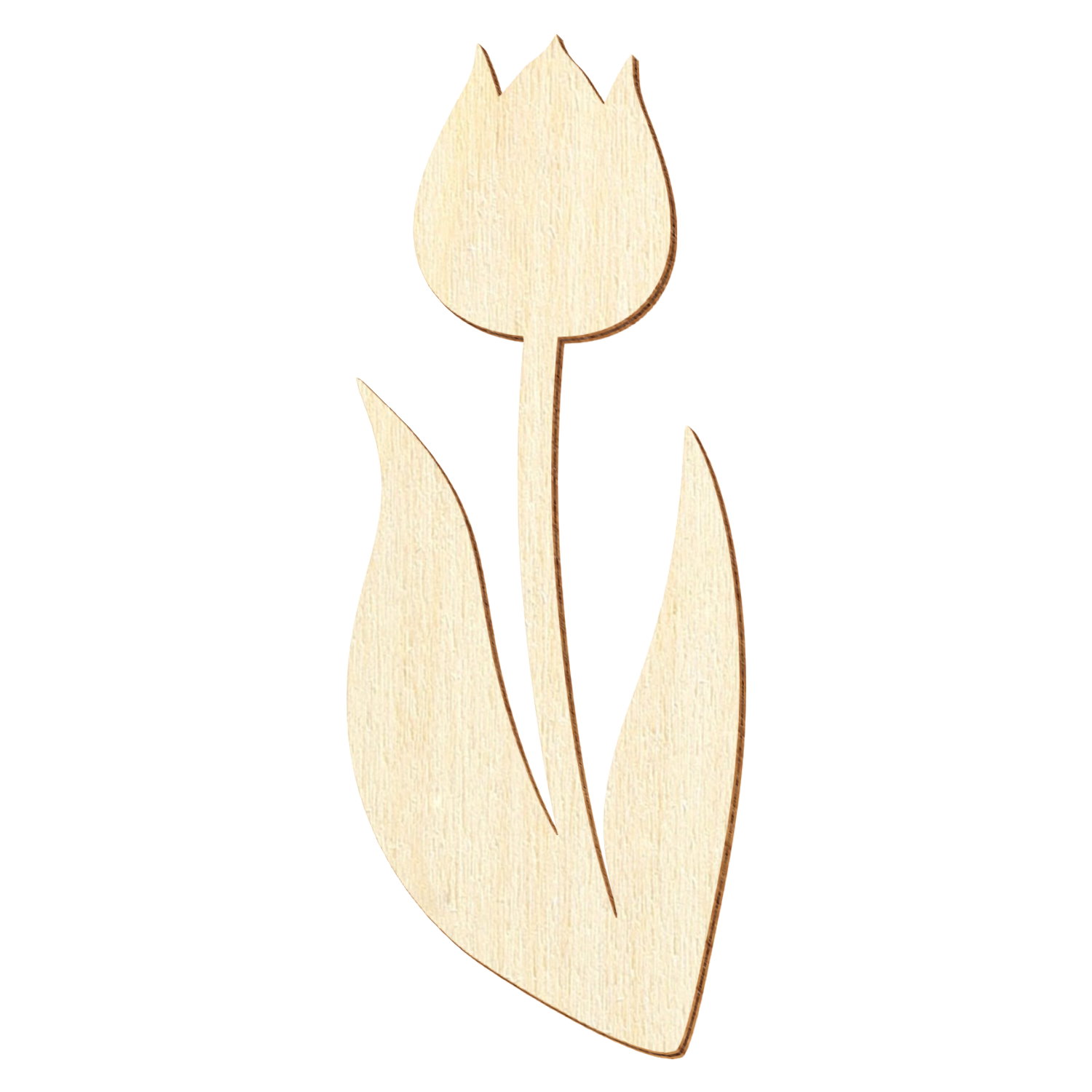 Tulpe Holz Zuschnitt 5-50cm