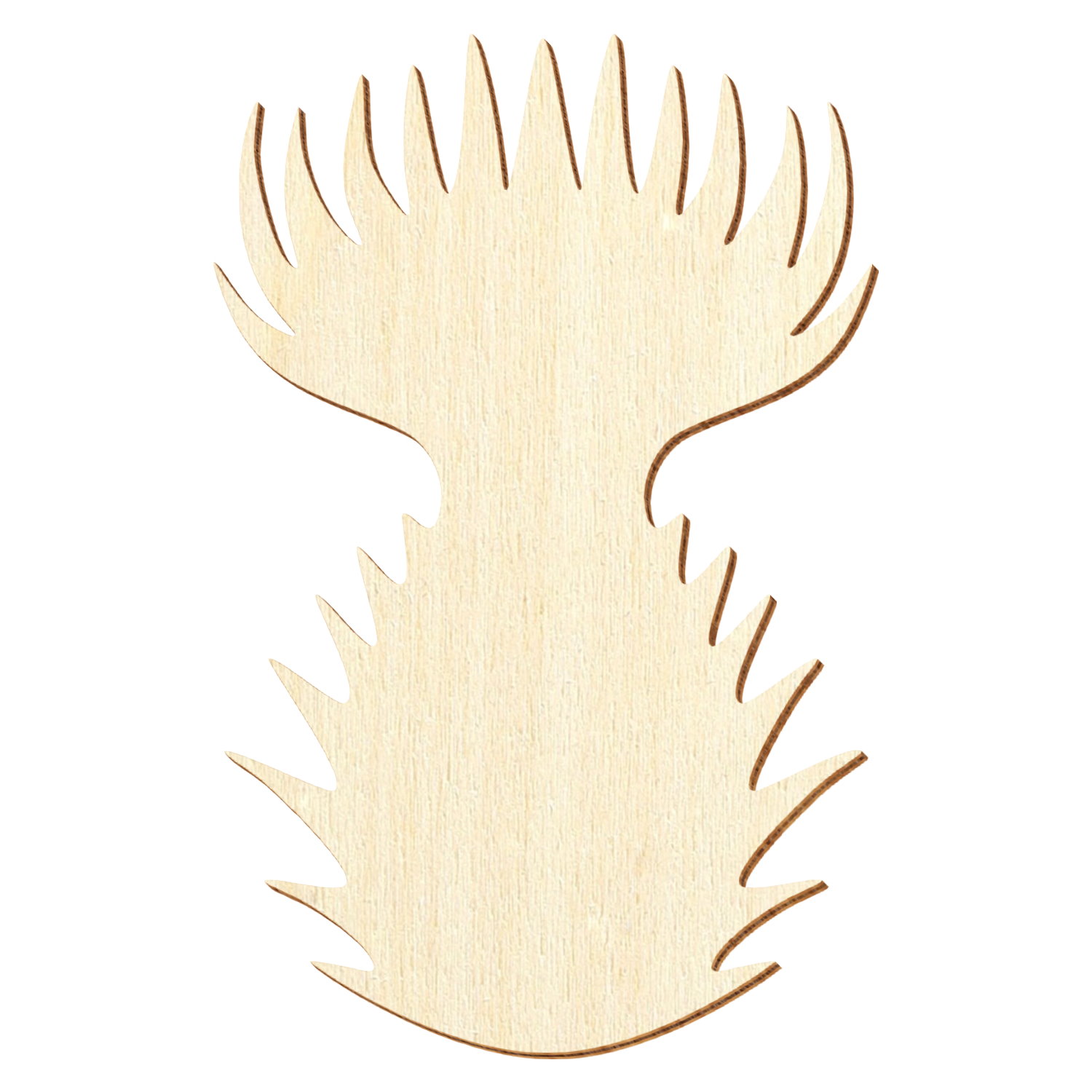 Distel Holz Zuschnitt 5-50cm