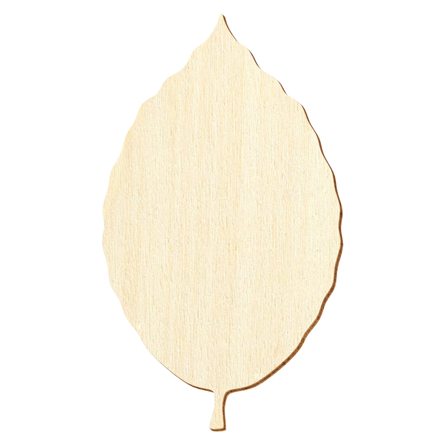 Buchenblatt Holz Zuschnitt 3-50cm