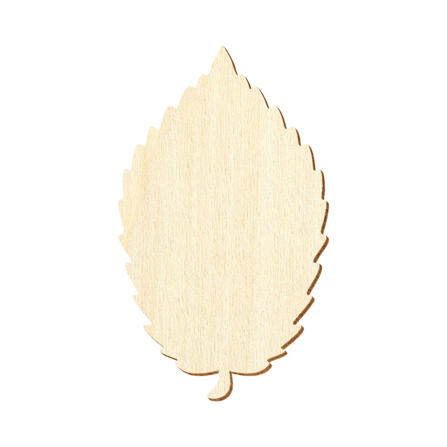 Ulmenblatt Holz Zuschnitt 3-50cm