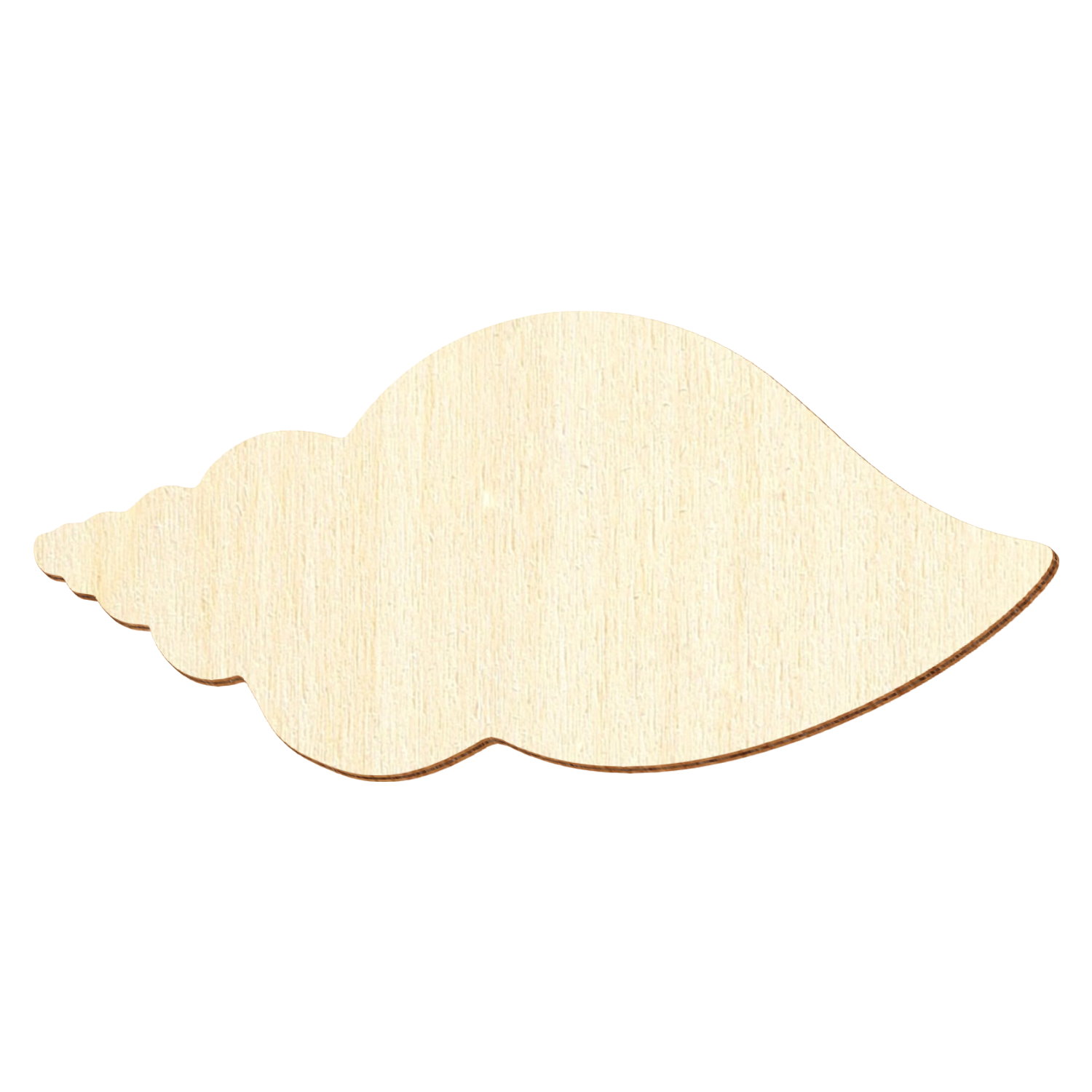Muschel Holz Zuschnitt 3-50cm