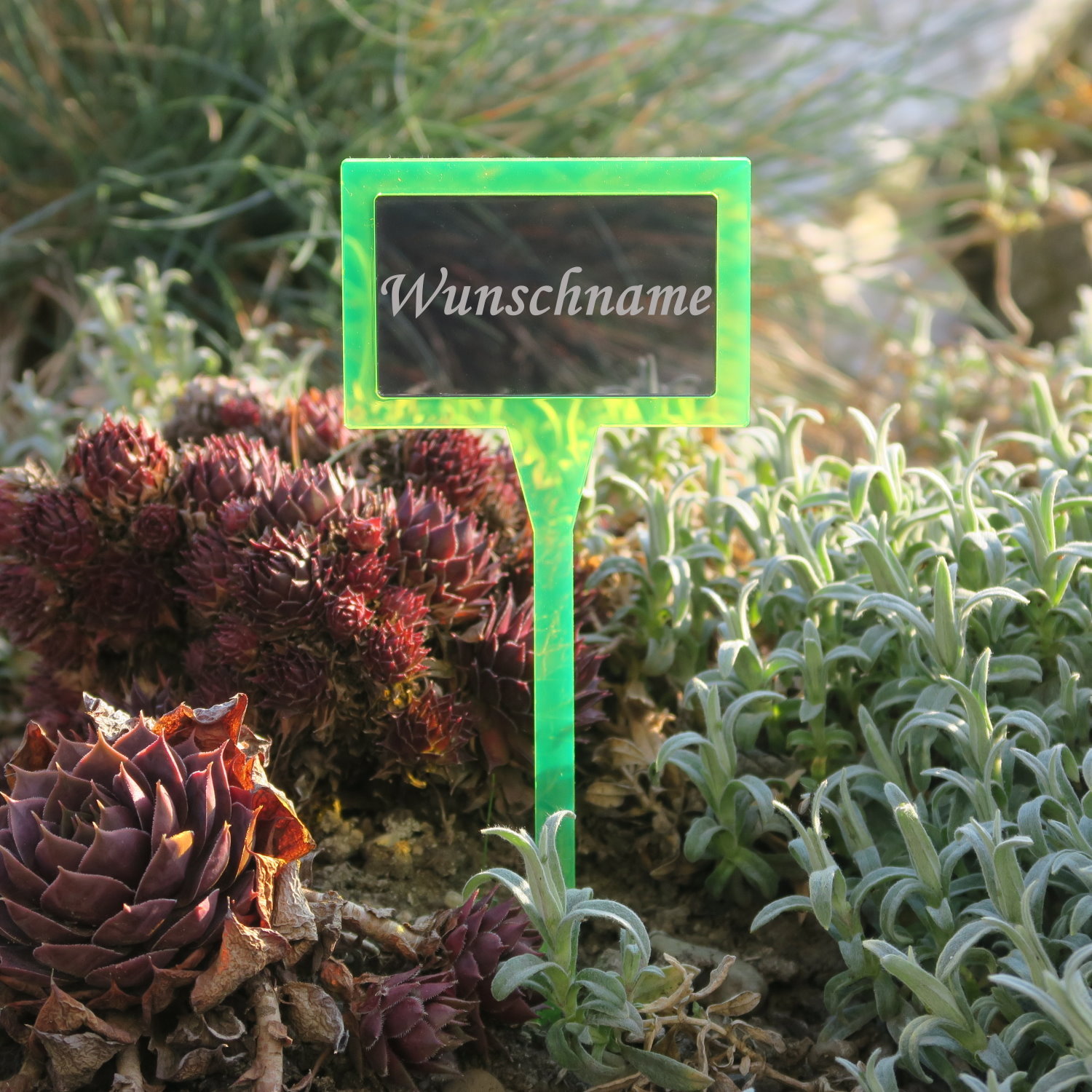 PLEXIGLAS® Pflanzschild Dual Eckig neongrün+grau transparent