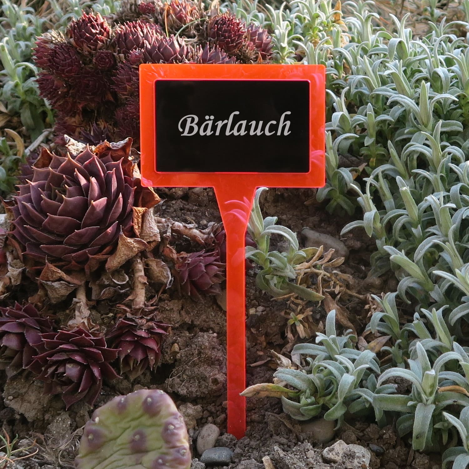 PLEXIGLAS® Pflanzschild Dual Eckig neonrot+schwarz