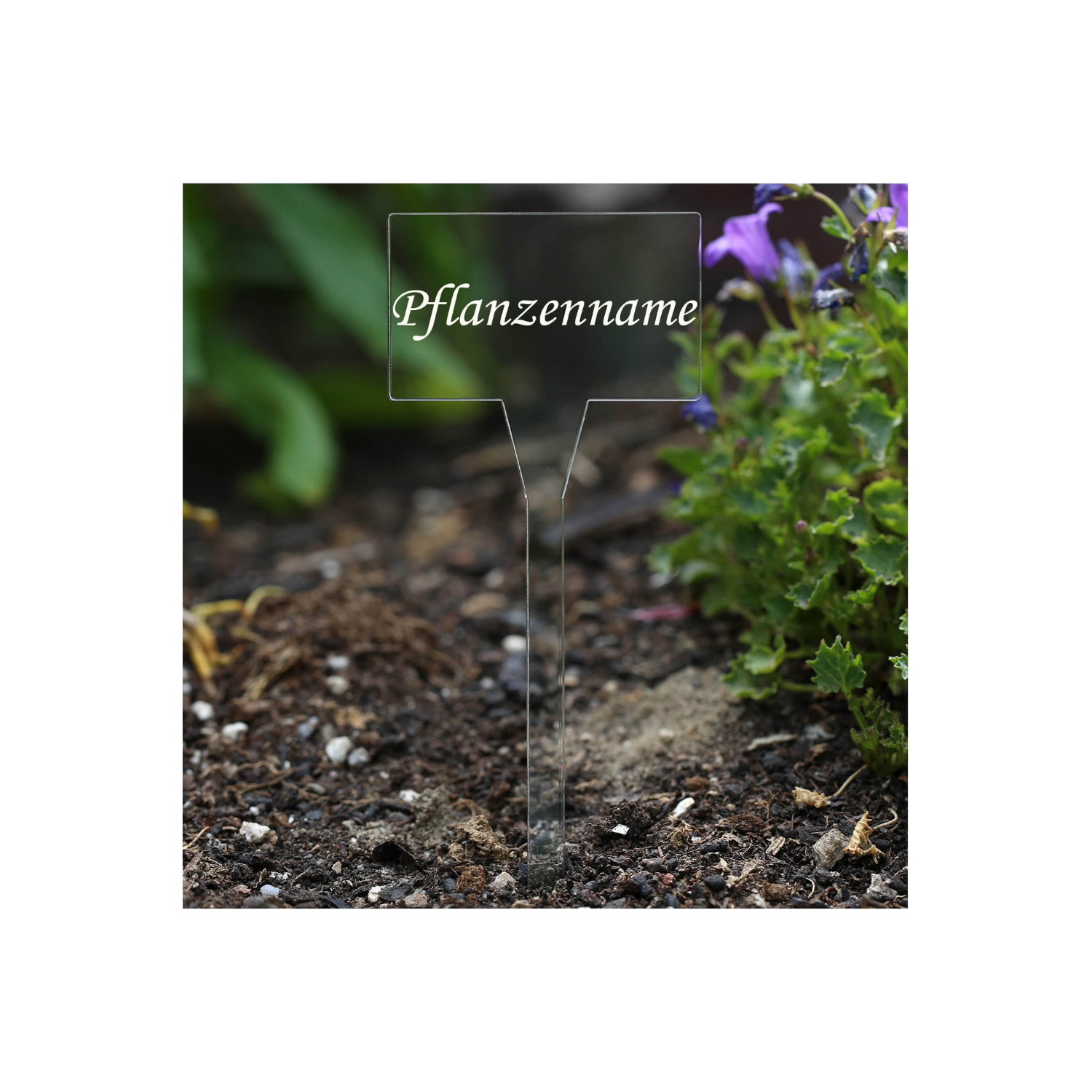 PLEXIGLAS® Pflanzschilder Eckig farblos transparent