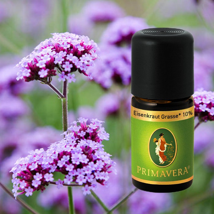 Primavera Bio Duftöl Eisenkraut Grasse Bio 10  %