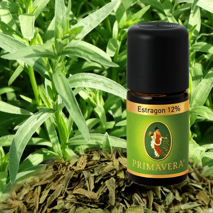 Primavera Bio Duftöl Estragon Bio 12  %