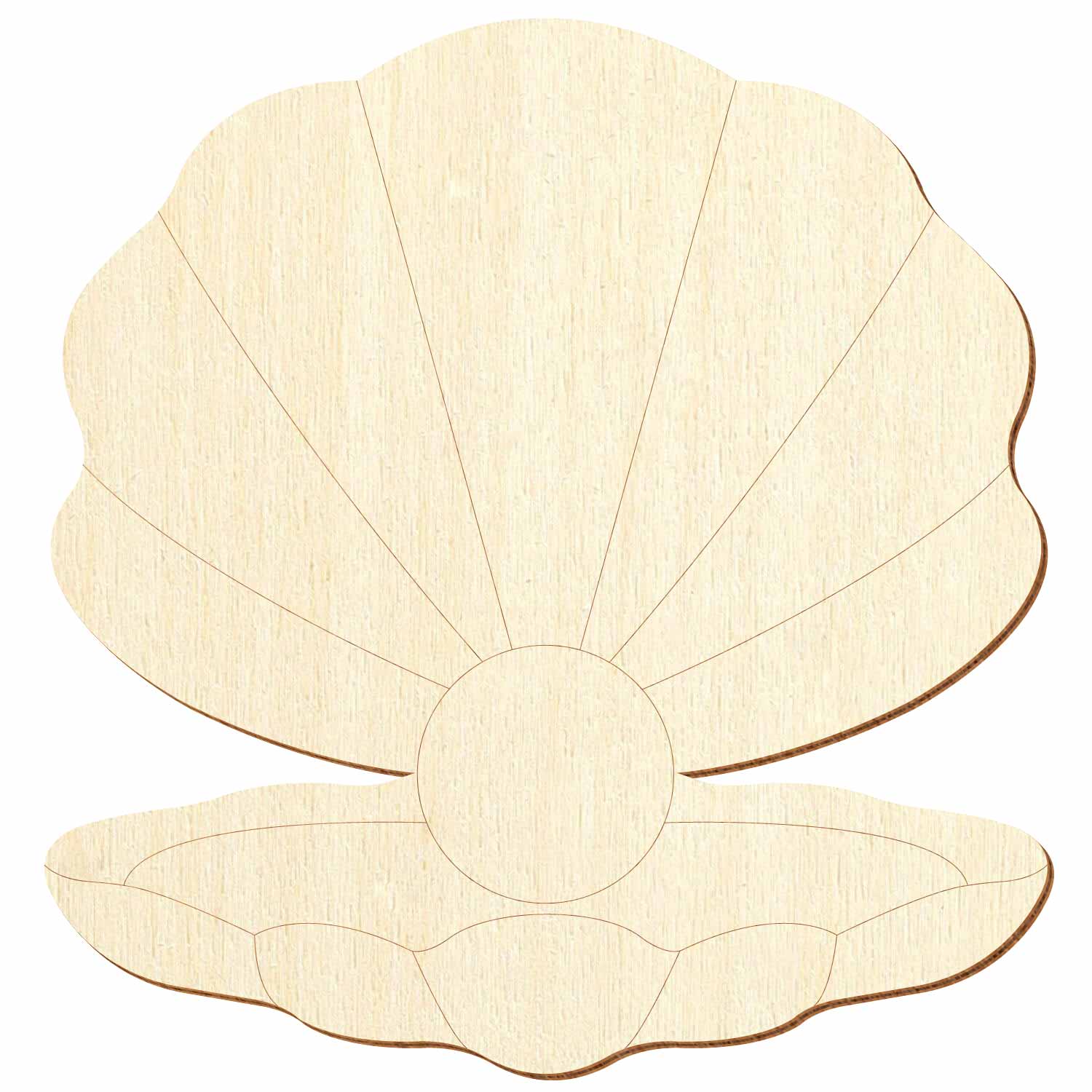 Muschel mit Perle Holz Zuschnitt 5-50cm