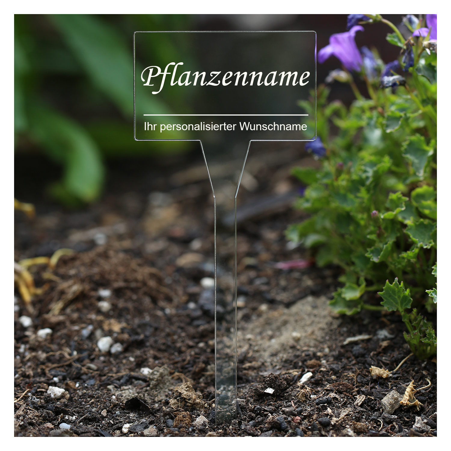 PLEXIGLAS® Pflanzschilder personalisiert eckig farblos