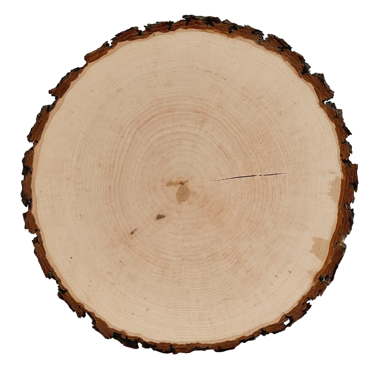 Holzscheibe Esche mit Haarriss